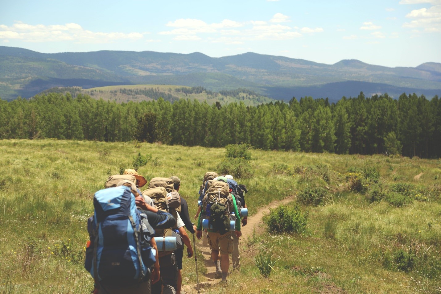 Experience summer camp job